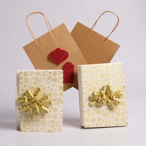 Kraft Gift Bag Set (2)
